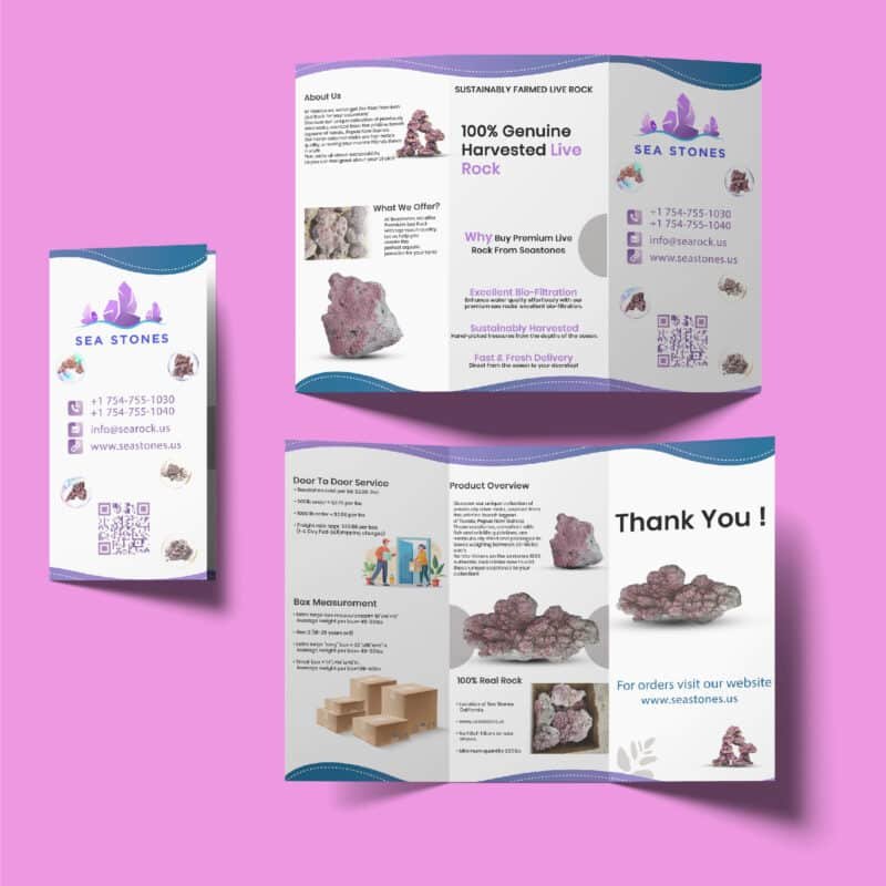 Economy Brochure